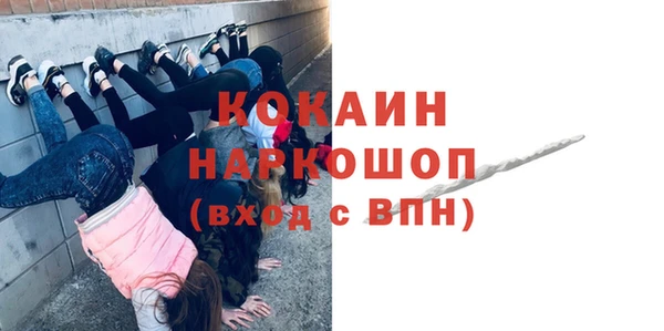 СК Няндома