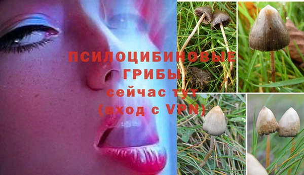 герыч Нягань