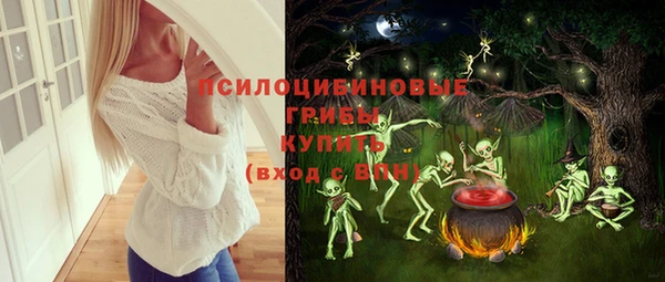 СК Няндома