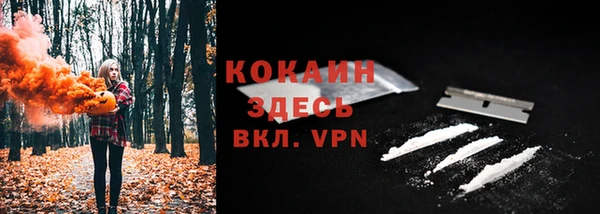 СК Няндома