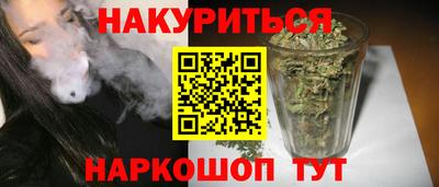индика Дубна