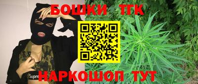 индика Дубна