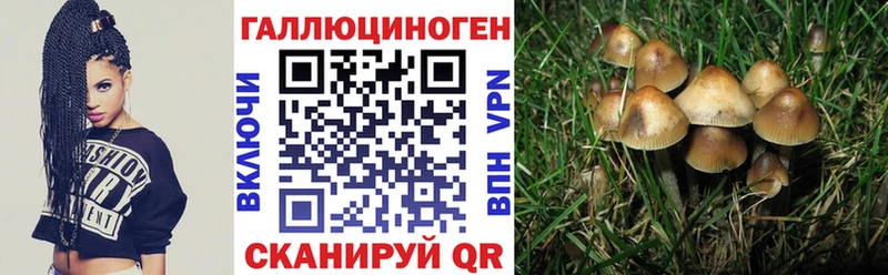мега зеркало Лабинск дарк нет клад Псилоцибиновые грибы Cubensis