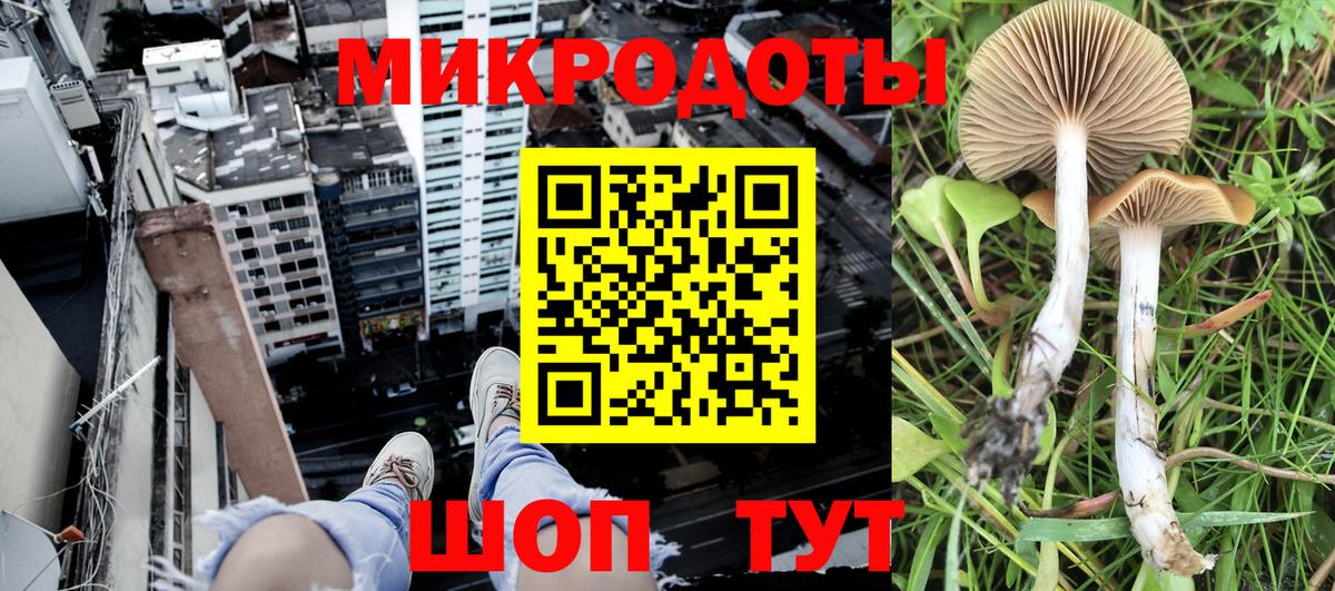 где продают наркотики  Лабинск  Галлюциногенные грибы прущие грибы 