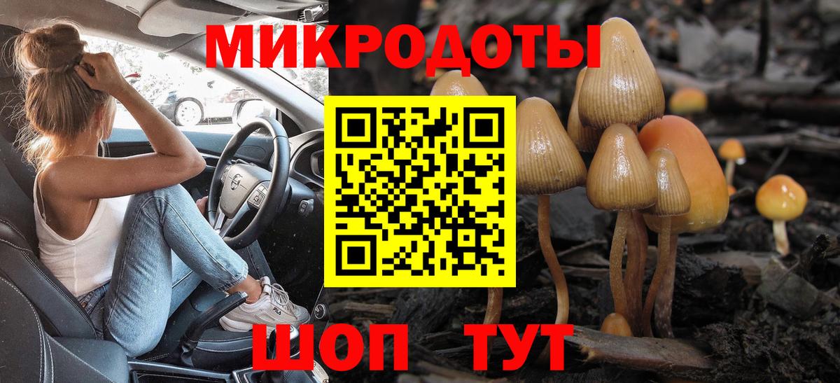 Псилоцибиновые грибы GOLDEN TEACHER  Галлюциногенные грибы мицелий  Лабинск  Вход с VPN 